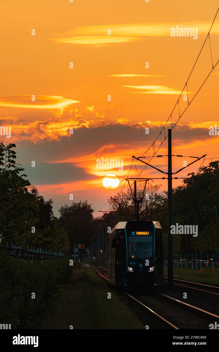 Wroclaw, Pologne - 11 mai 2024 : beau coucher de soleil nuageux avec un ciel coloré sur de hauts arbres et des lignes de tramway sur la rue avec des tramways à cheval Banque D'Images