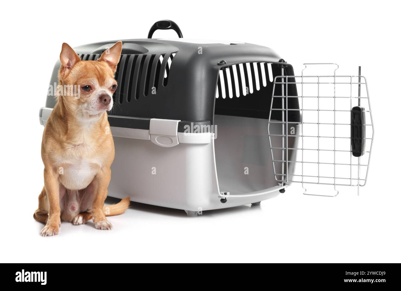 Adorable chien près d'un transporteur d'animal isolé sur blanc Banque D'Images