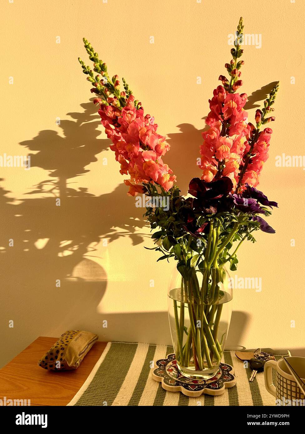 Snapdragon fleurs en vase sur table avec clés, pochette tasse et nappe dépouillée Banque D'Images