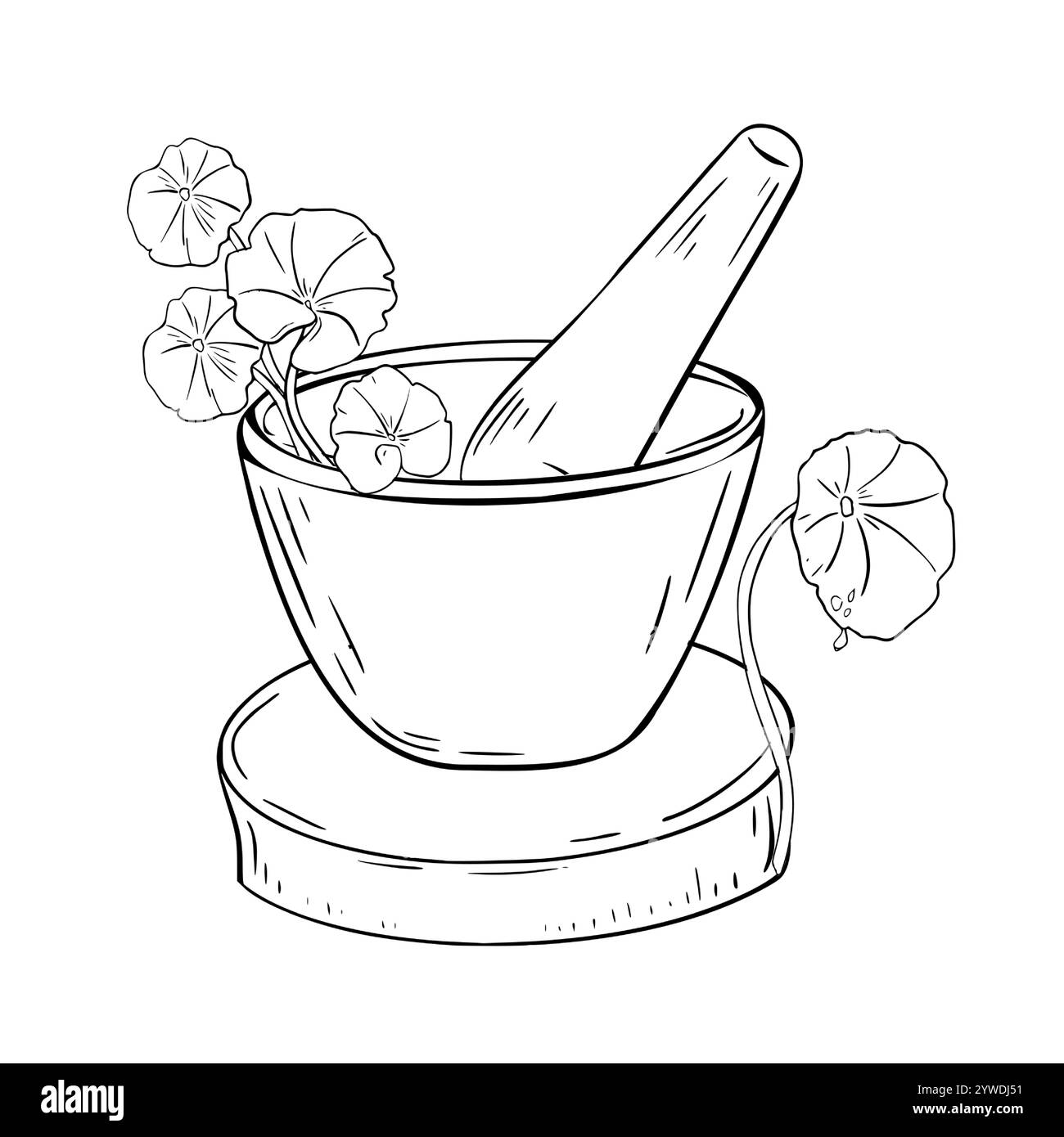 Mortier en pierre et pilon sur support en bois avec illustration vectorielle blanche noire d'herbe cicatrisante sur blanc. Plantes de soins de la peau Centella asiatica dessinées à la main Illustration de Vecteur