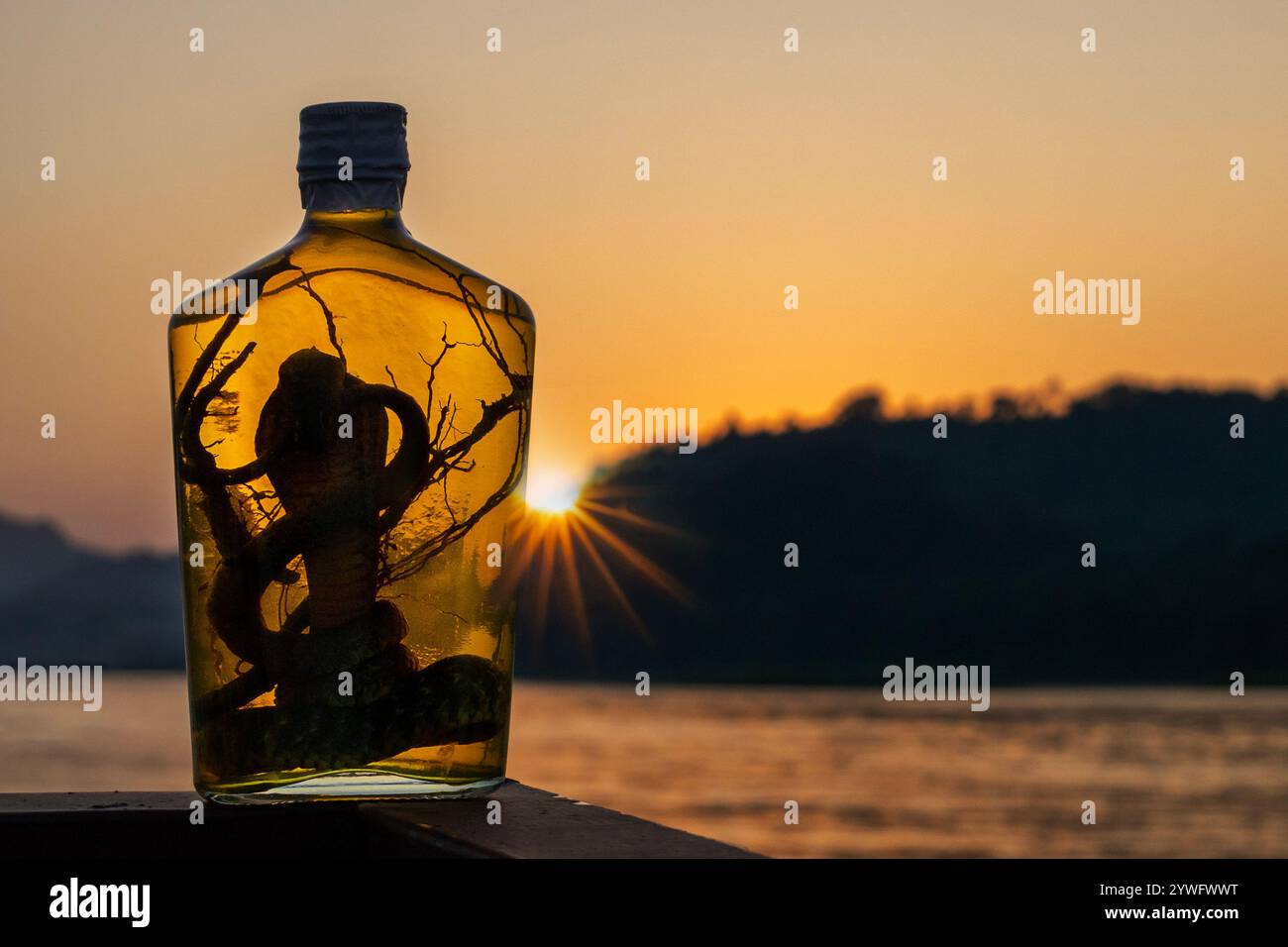 Bouteille de boisson alcoolisée asiatique connue sous le nom de Snake Whisky avec serpent montré dans la bouteille, au coucher du soleil sur le fleuve Mékong au Laos Banque D'Images