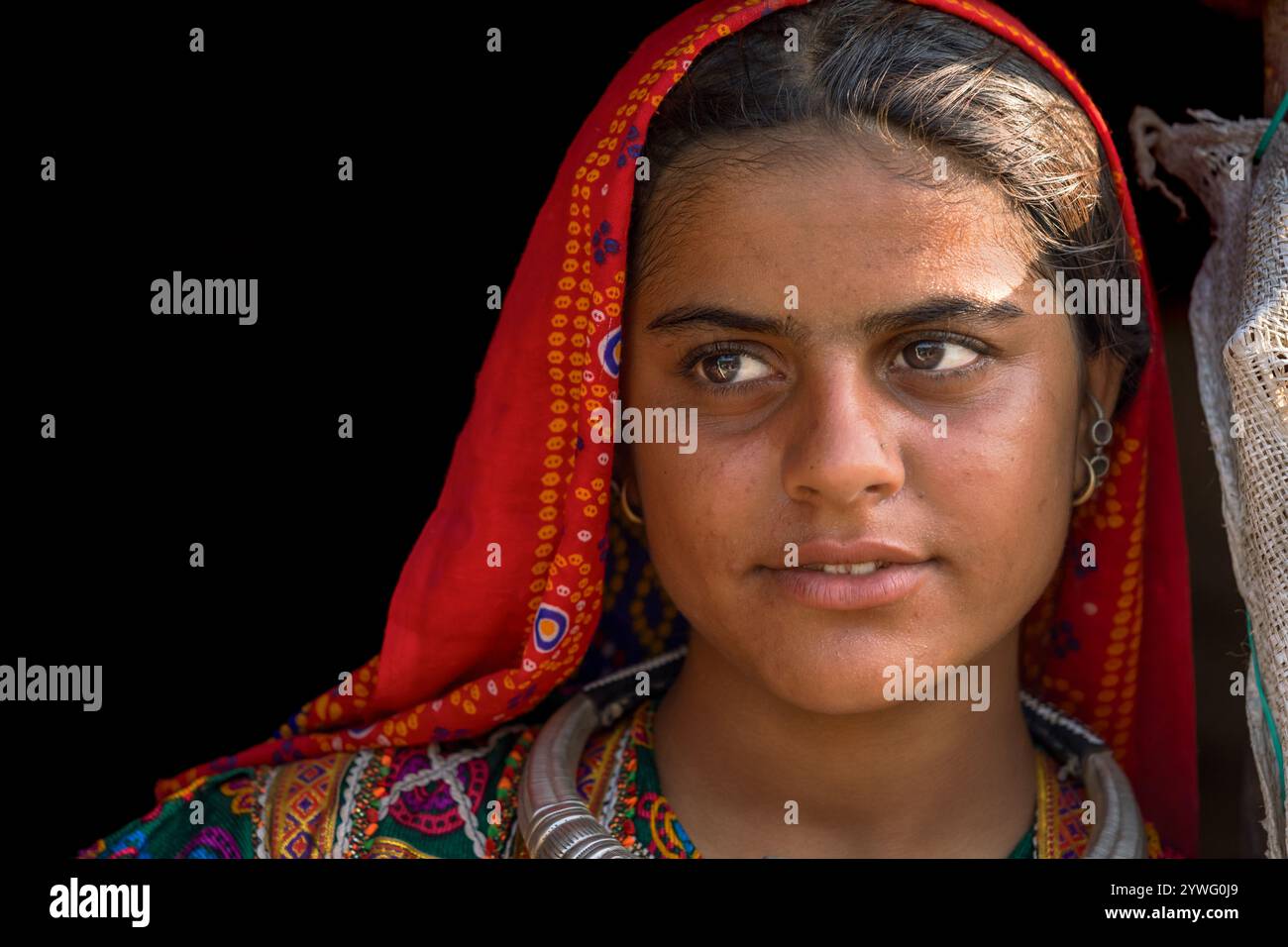 Portrait d'une jeune fille de la communauté tribale, région de Kutch, Gujarat, Inde Banque D'Images