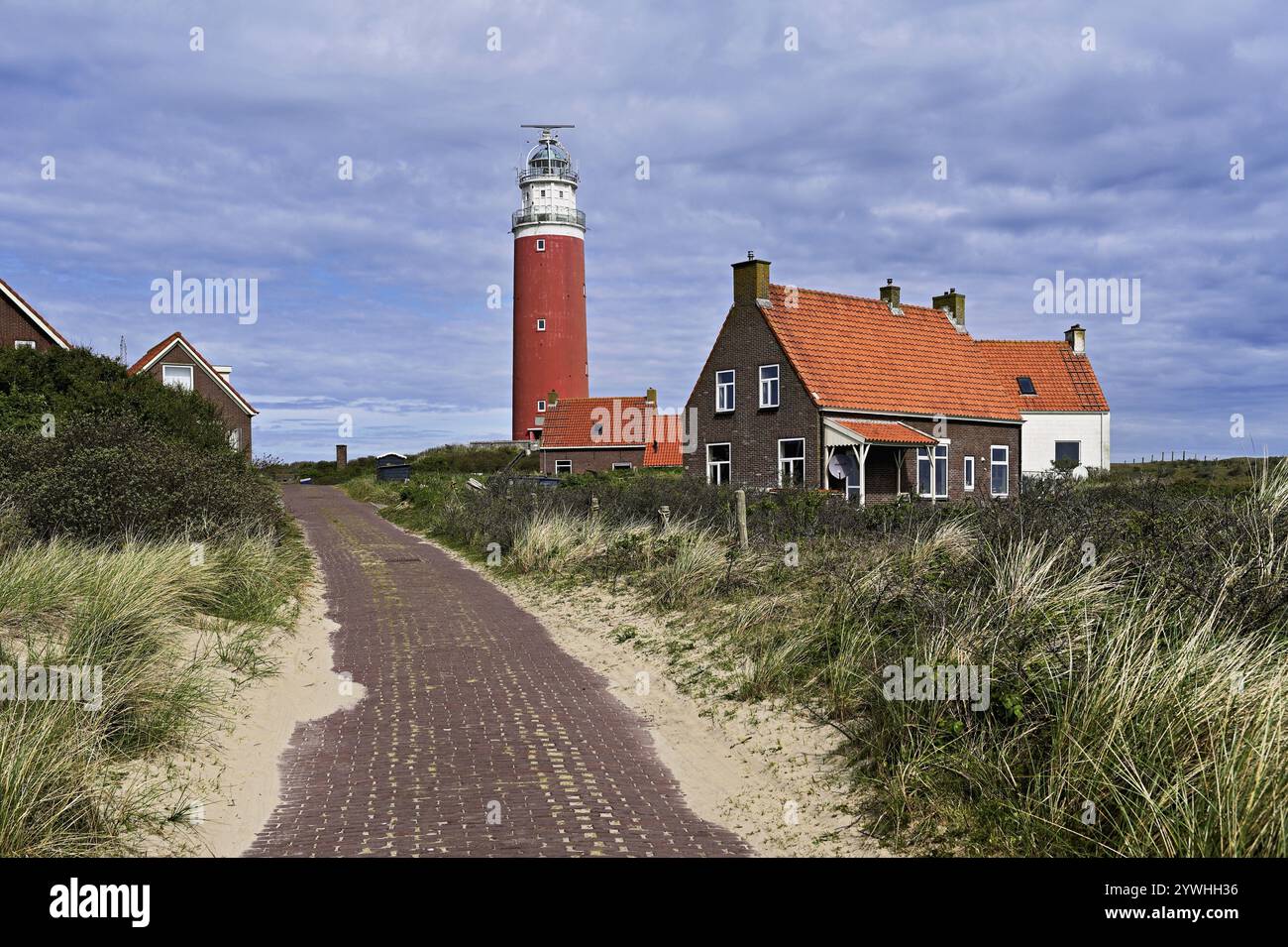 Phare Eierland avec maisons, de Cocksdorp, Texel, Îles de Frise occidentale, province Hollande du Nord, pays-Bas Banque D'Images