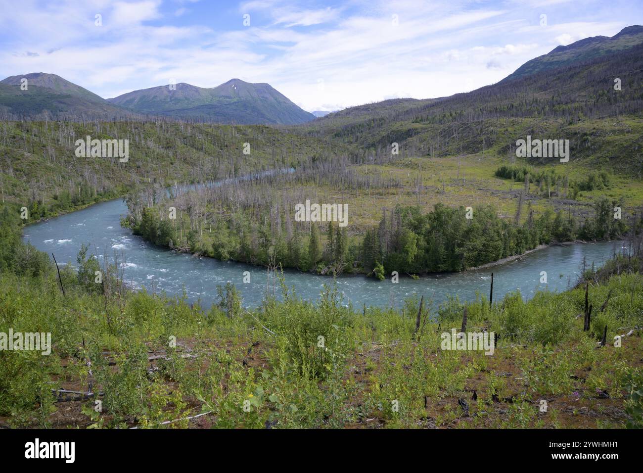 Une rivière calme serpente à travers une vallée verdoyante, entourée de collines boisées et de montagnes sous un ciel bleu, rivière Kenai, Alaska, USA, Amérique du Nord Banque D'Images