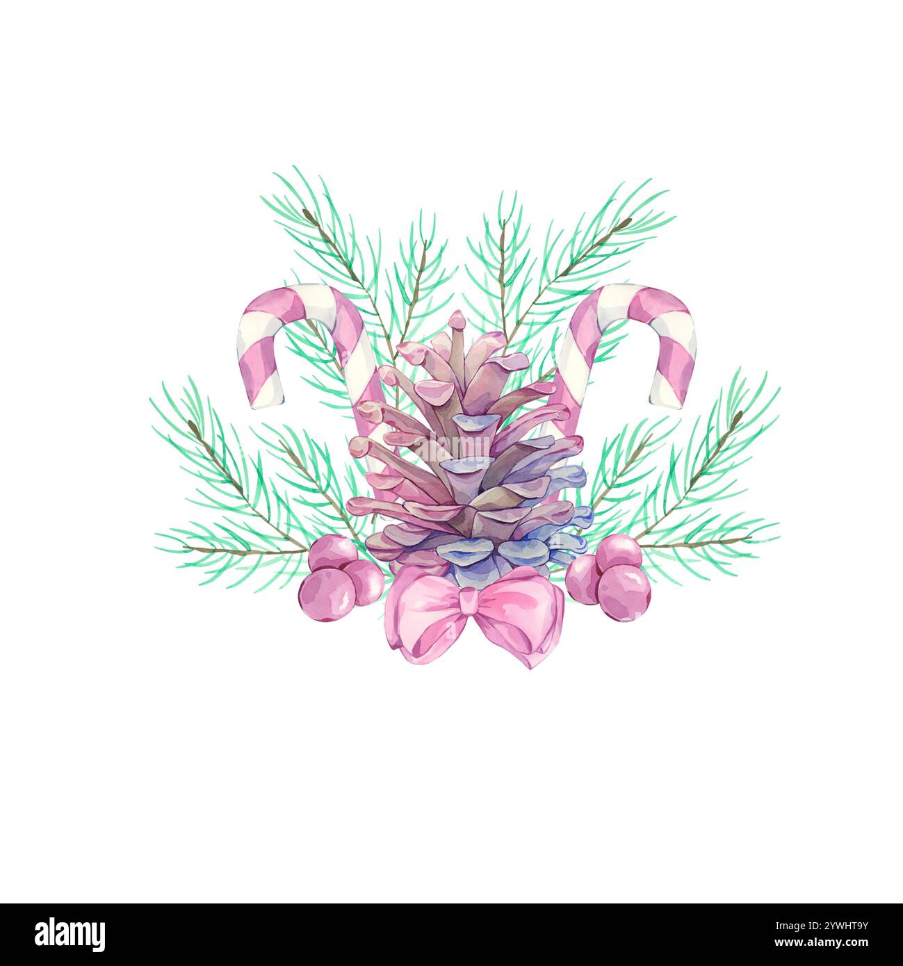 Composition des branches et cônes d'épinette à l'aquarelle Banque D'Images