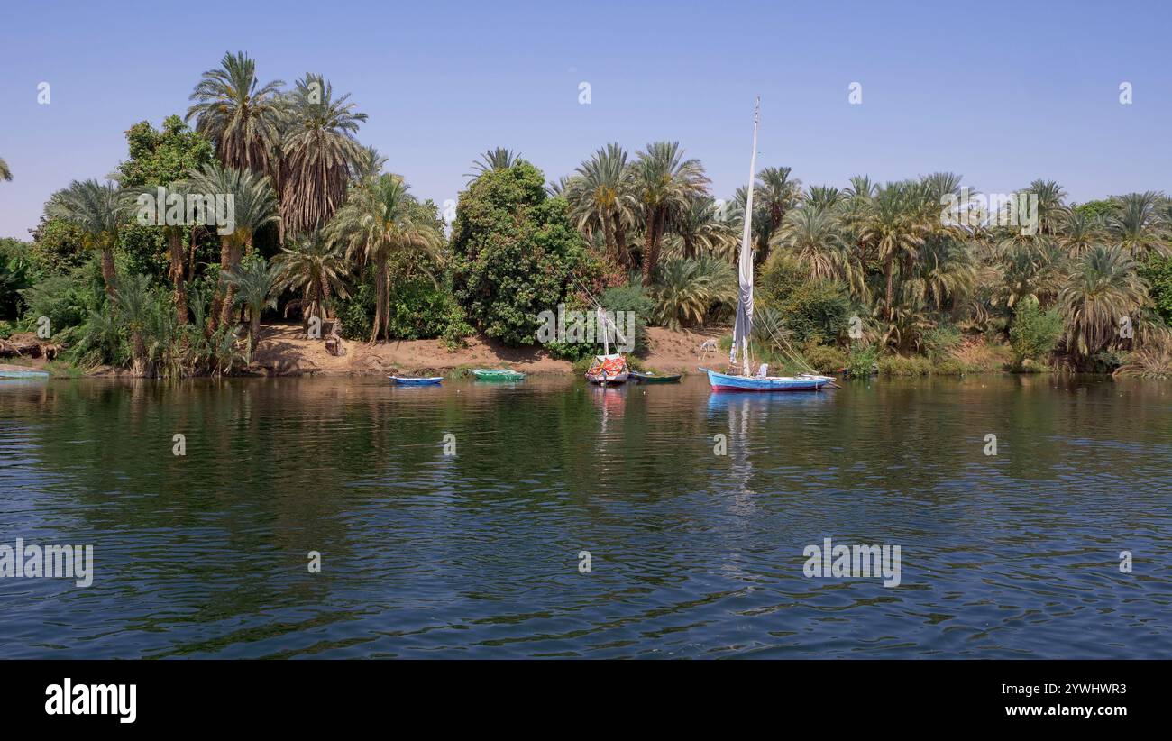 Bateaux de pêche et bateaux à rames sur la rive du Nil en Egypte Banque D'Images
