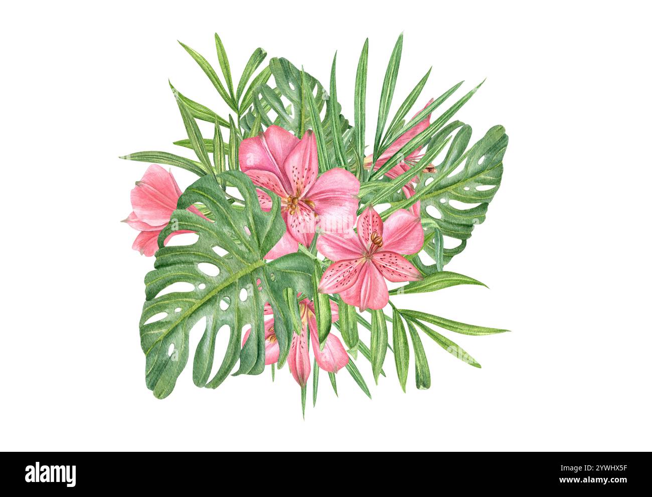 Aquarelle feuilles vertes tropicales et illustration de fleurs roses. Palmier et feuillage monstera avec fleur d'Alstroemeria. Jungle dense. Composition pour texte Banque D'Images