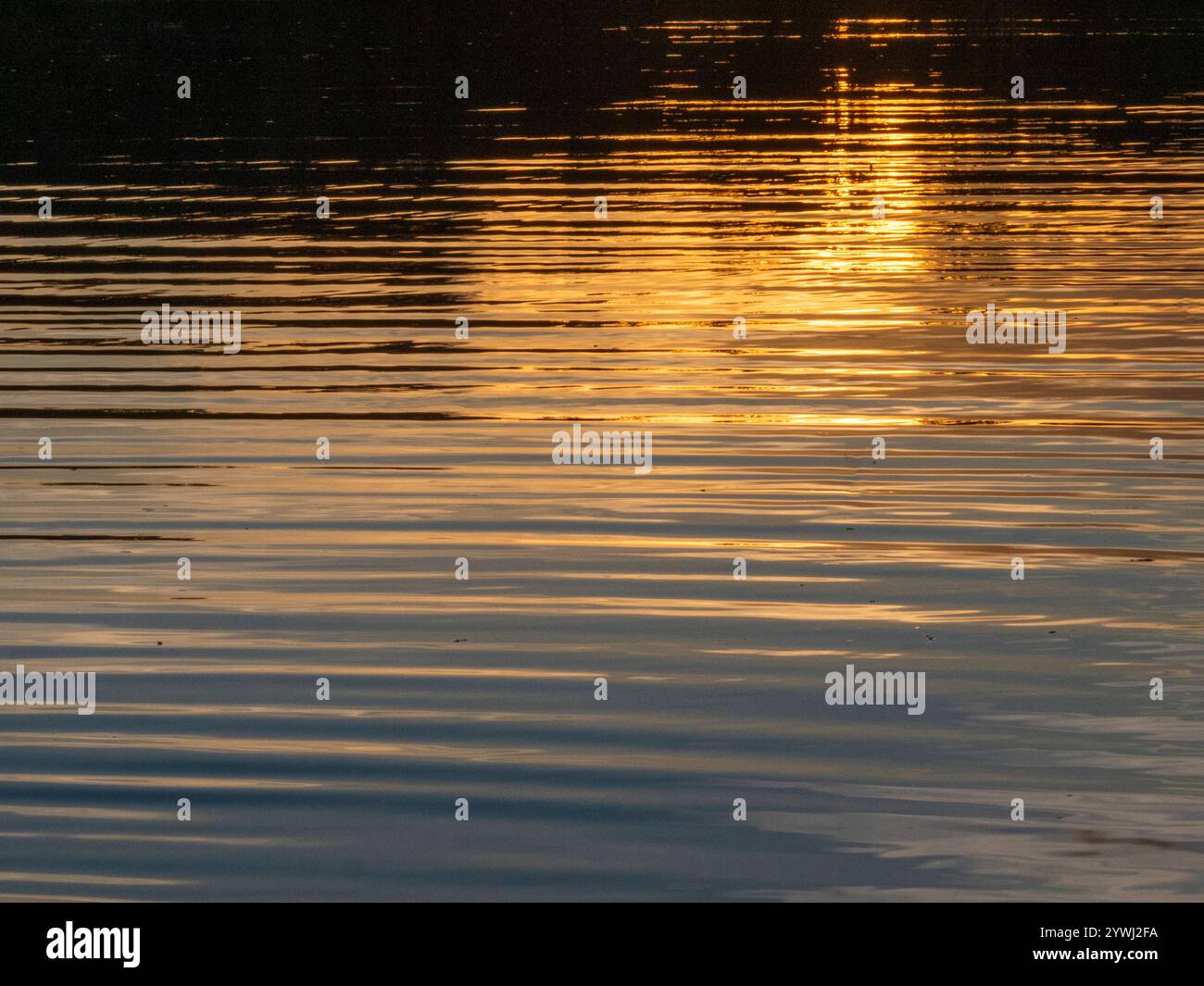 La lumière du soir se reflète dans les eaux de l'Amazonie. Prise près de la ville de Tefè. Banque D'Images