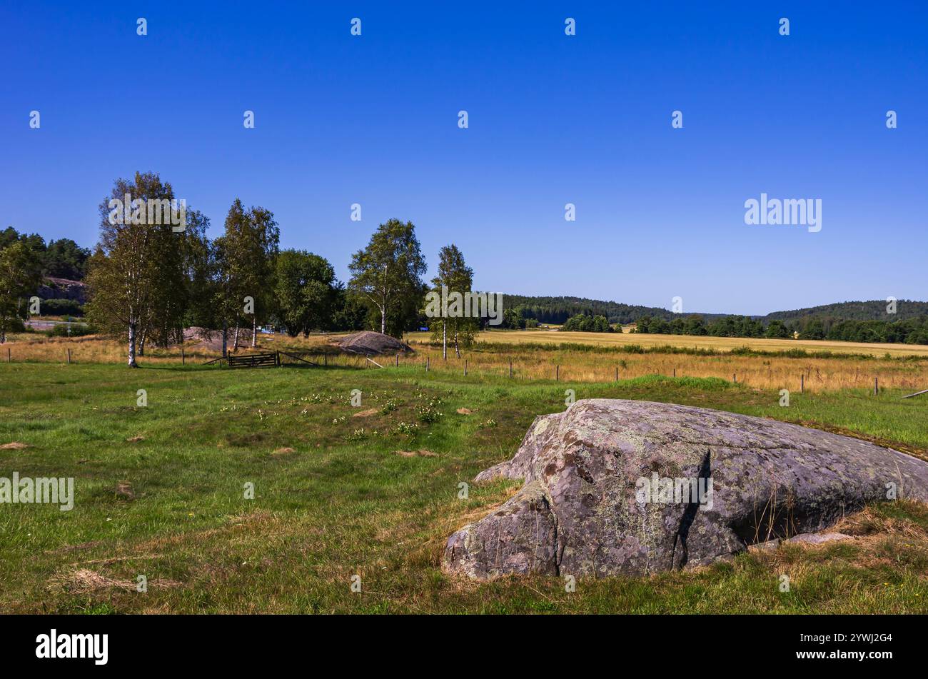 Le monticule funéraire de Grönehög, non loin du cimetière de Blomsholm, est un site archéologique du début de l'âge du fer près de Strömstad à Bohuslän, en Suède. Banque D'Images