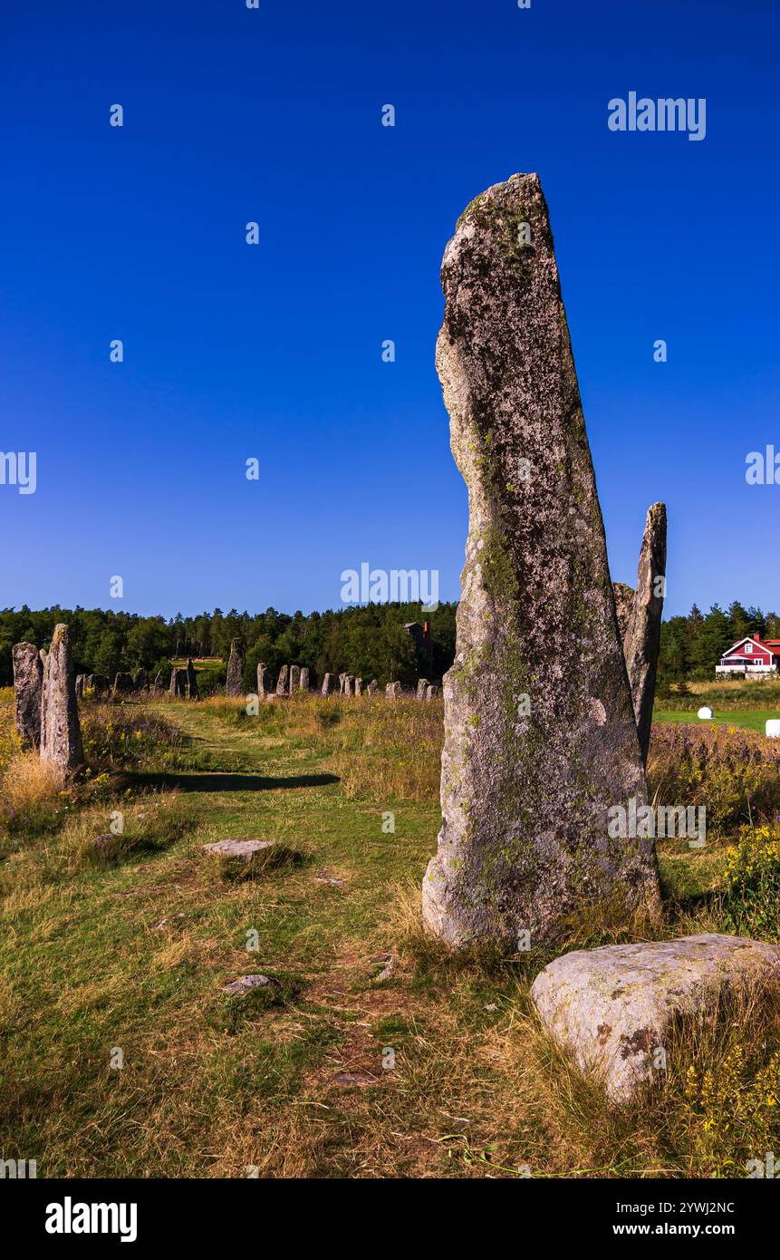 Le navire se trouve sur le site funéraire de Blomsholm, un monument en pierre de l'âge du fer près de Strömstad à Bohuslän, Västra Götalands län, Suède. Banque D'Images
