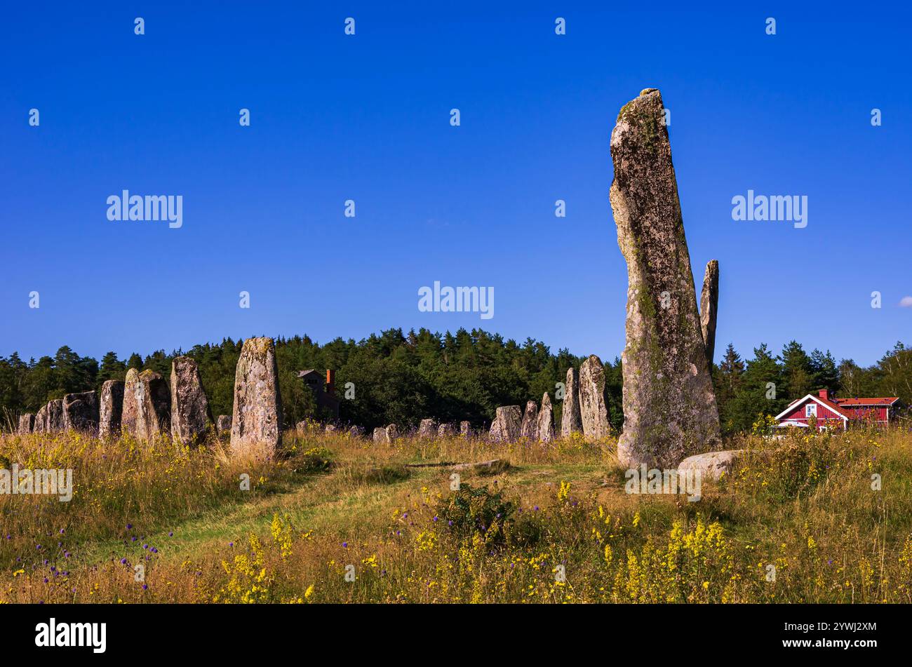 Le navire se trouve sur le site funéraire de Blomsholm, un monument en pierre de l'âge du fer près de Strömstad à Bohuslän, Västra Götalands län, Suède. Banque D'Images