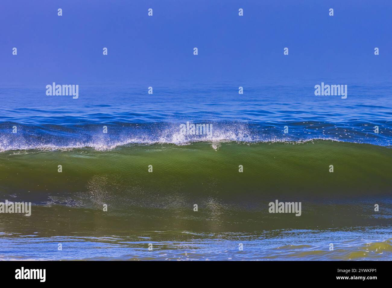 Les vagues de l'océan Pacifique qui roulent et s'écrasent le long de la côte de l'Oregon vues depuis Strawberry Hill Wayside, Oregon, États-Unis Banque D'Images