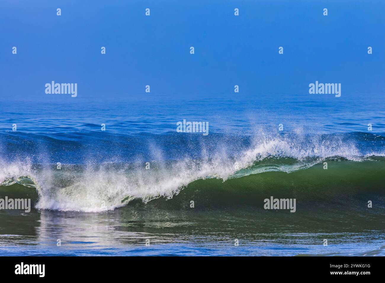 Les vagues de l'océan Pacifique qui roulent et s'écrasent le long de la côte de l'Oregon vues depuis Strawberry Hill Wayside, Oregon, États-Unis Banque D'Images