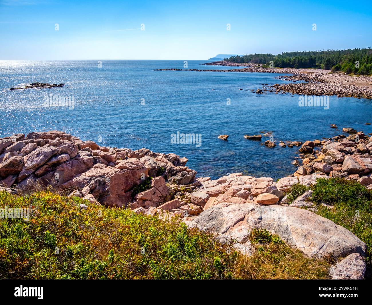 Côte rocheuse de l'océan Atlantique à Green Cove sur le sentier Cabot sur l'île du Cap-Breton Nouvelle-Écosse Canada Banque D'Images