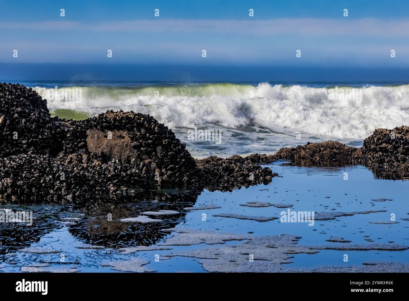 Les vagues de l'océan Pacifique qui roulent et s'écrasent le long de la côte de l'Oregon vues depuis Strawberry Hill Wayside, Oregon, États-Unis Banque D'Images