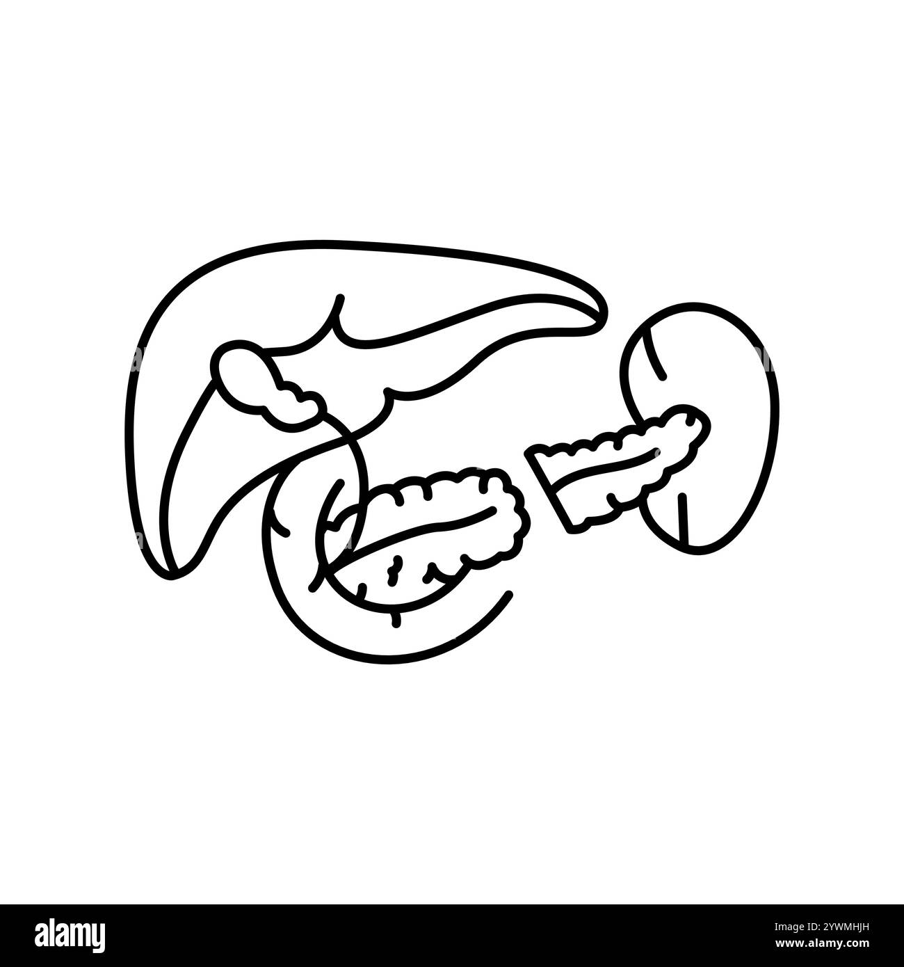 Icône noire de la ligne de pancréatectomie. Signez pour la page Web, l'application mobile, le bouton, le logo. Bouton isolé de vecteur. Contour modifiable. Illustration de Vecteur