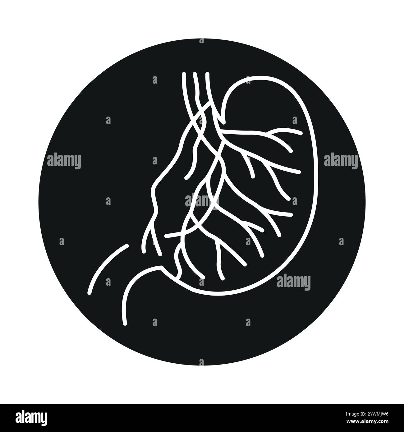Icône noire de ligne de vagotomie sélective. Signez pour la page Web, l'application mobile, le bouton, le logo. Bouton isolé de vecteur. Contour modifiable. Illustration de Vecteur Icône noire de ligne de vagotomie sélective. Signez pour la page Web, l'application mobile, le bouton, le logo. Bouton isolé de vecteur. Contour modifiable. Illustration de Vecteur