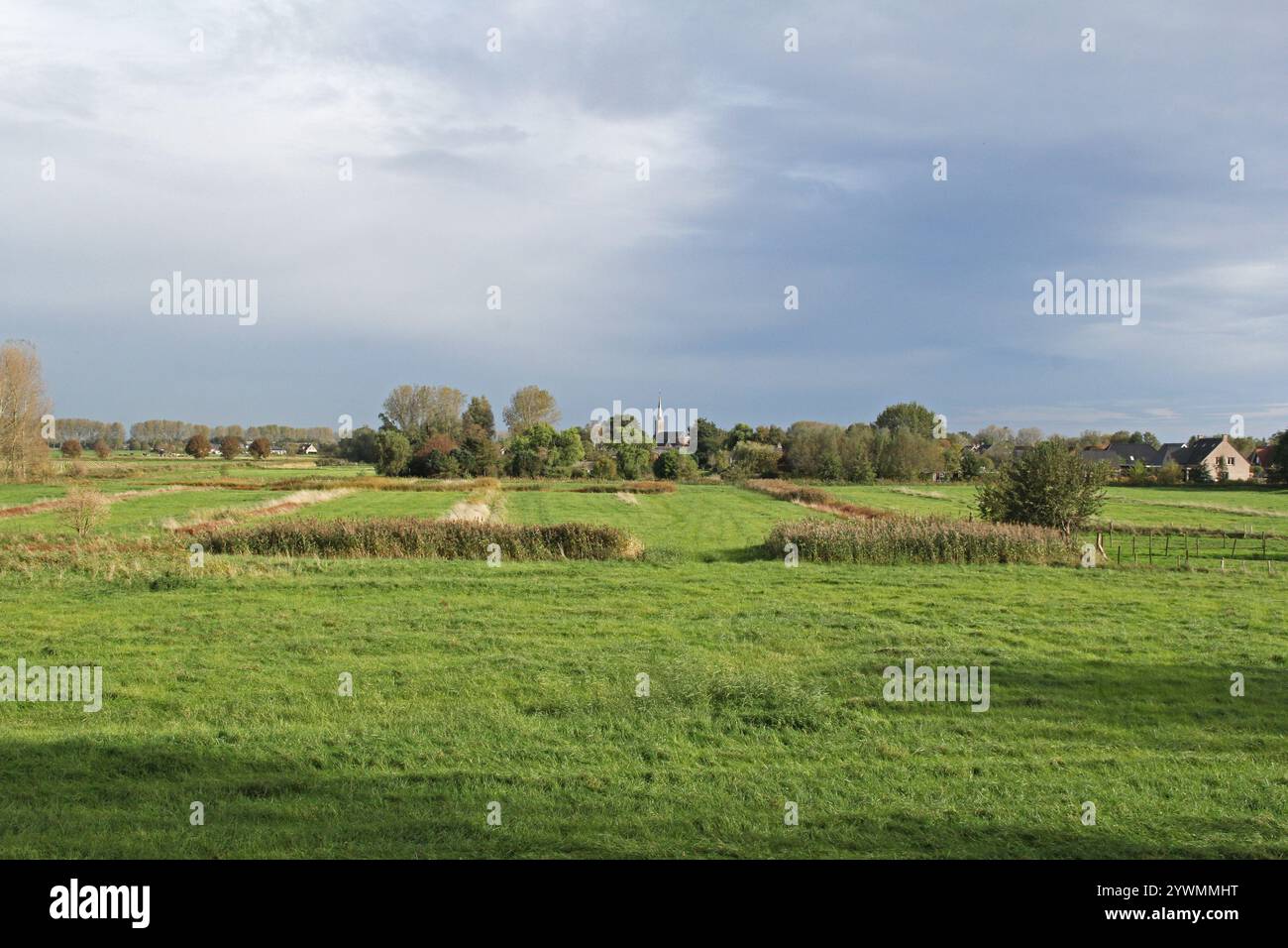 une réserve naturelle bosselée verte avec des fossés et des roseaux et des rangées d'herbes dans la campagne néerlandaise Banque D'Images