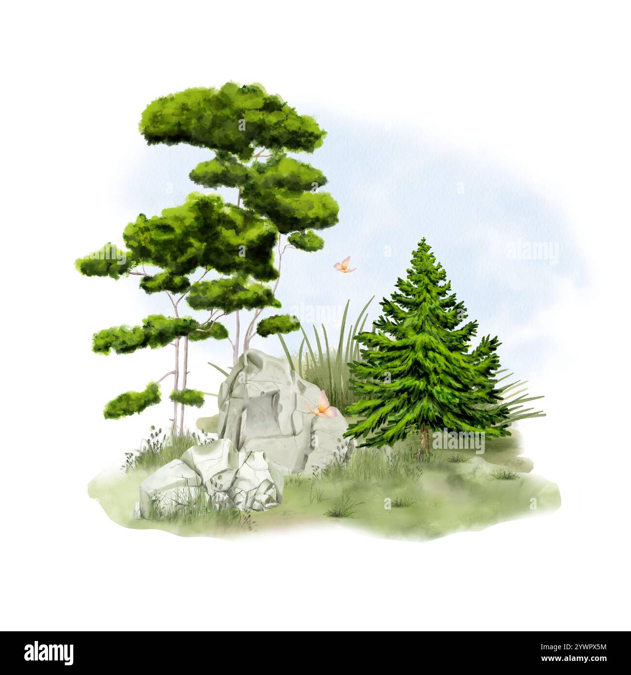 Morceau de roche gris près de grands pins et de petites pierres dispersées à proximité. Illustration numérique aquarelle. Sapin moelleux sur une prairie, isolé sur w Banque D'Images