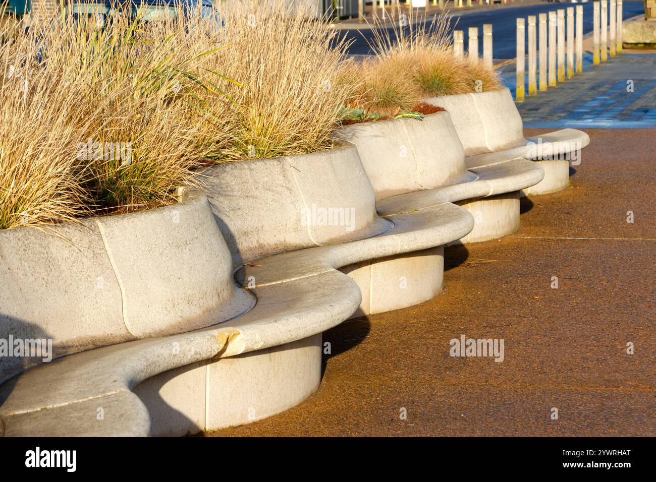 Sièges en béton ondulé et jardinières au bord de la mer à Sunderland tyne & Wear UK Banque D'Images