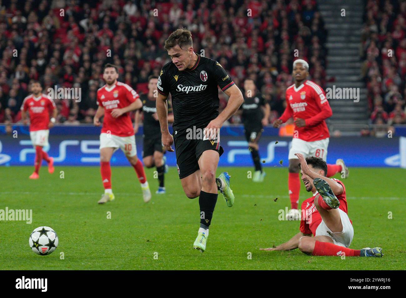 Lisbonne, Portugal. 11 décembre 2024. Thijs Dallinga du Bologna FC (C) et Tomas Araujo du SL Benfica (R) en action lors de la phase de l'UEFA Champions League Journée 6 entre Benfica et Bologne à l'Estadio da Luz à Lisbonne, Portugal. 12/11/2024 crédit : Brazil photo Press/Alamy Live News Banque D'Images