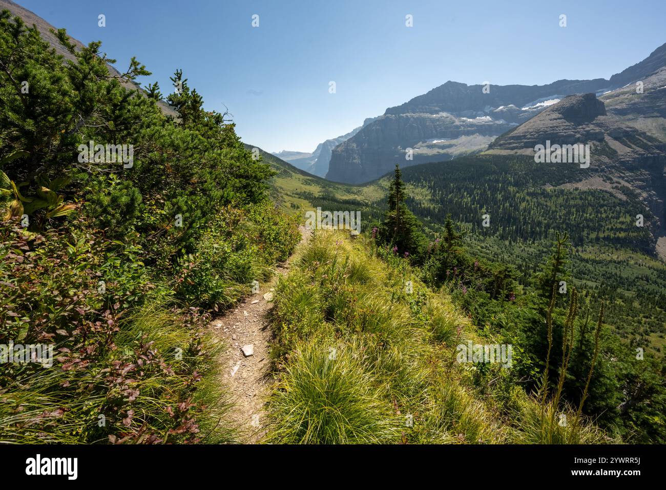 Le sentier étroit de Boulder Pass sentier mène au col Brown et au glacier Thunderbird dans le parc national des glaciers Banque D'Images