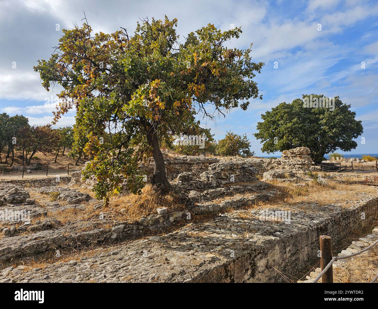 Ruines classiques dispersées à Alexandria Troas, une ancienne ville portuaire de Turkiye (Turquie) Banque D'Images