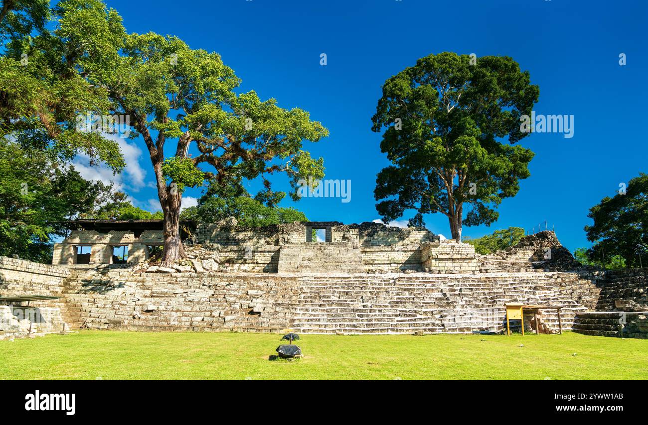 Cour est du site archéologique maya de Copan. Patrimoine mondial de l'UNESCO au Honduras Banque D'Images