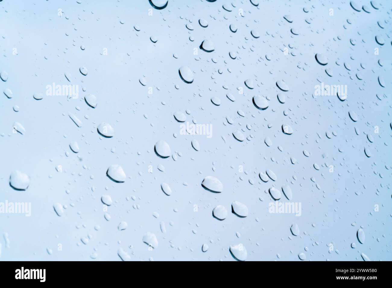 De délicates sphères d’eau, accrochées à une surface pâle, évoquent un sentiment de tranquillité.💧 #waterdrops Banque D'Images