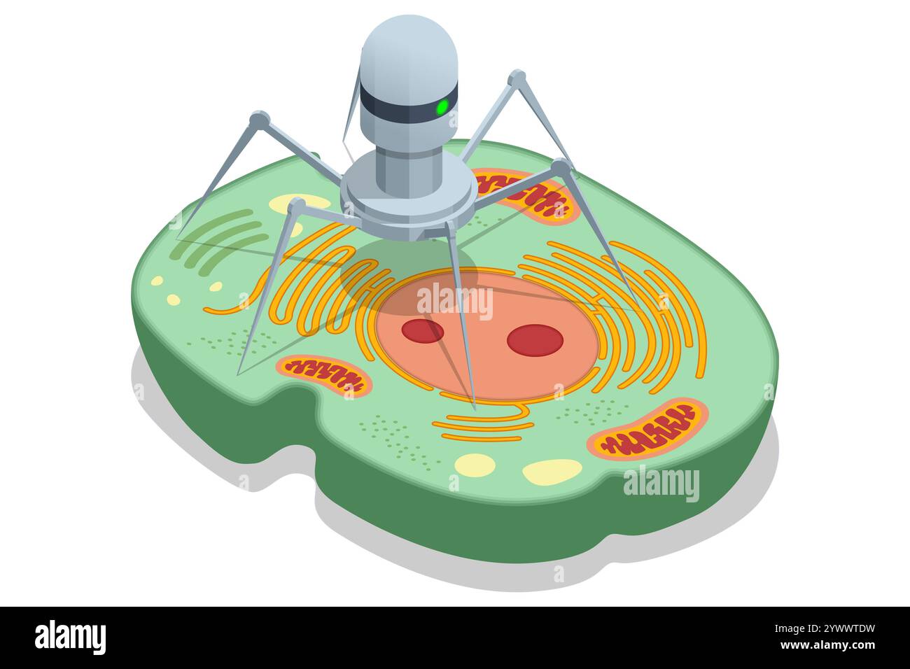 Le nanorobot isométrique est conçu pour interagir avec les structures cellulaires. Réparer les parties endommagées d'une cellule, enlever les éléments indésirables, les virus ou Illustration de Vecteur