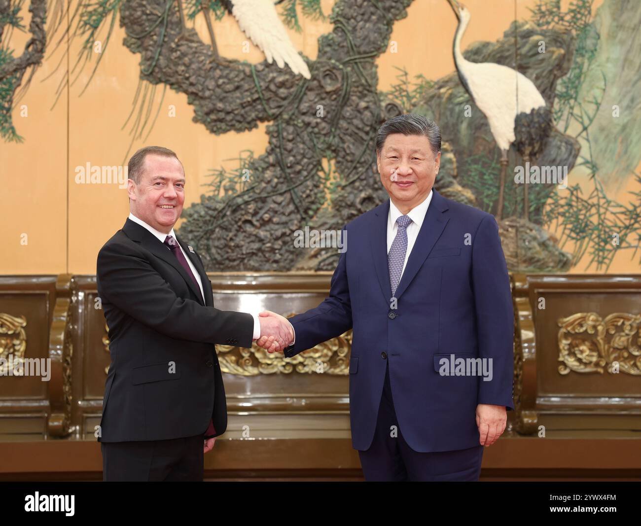 Pékin, Chine. 12 décembre 2024. XI Jinping, secrétaire général du Comité central du Parti communiste chinois et président chinois, rencontre le président du parti Russie unie Dmitri Medvedev à la Grande salle du peuple à Pékin, capitale de la Chine, le 12 décembre 2024. Crédit : Ding Haitao/Xinhua/Alamy Live News Banque D'Images