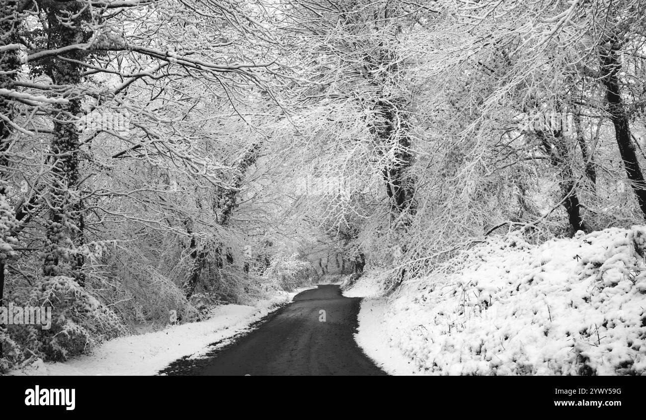 Route glacée traversant la forêt de wentwood enneigée. Descente dans la glace et la neige. Banque D'Images