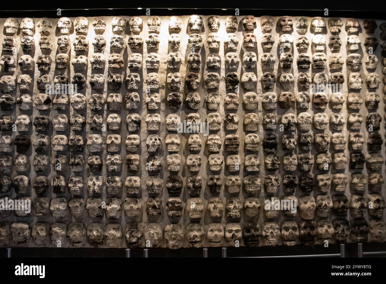 Mexico, Mexique 12 novembre 2024 : le porte-crâne Huey Tzompantli ou Grand crâne au musée Templo Mayor de Mexico. Banque D'Images