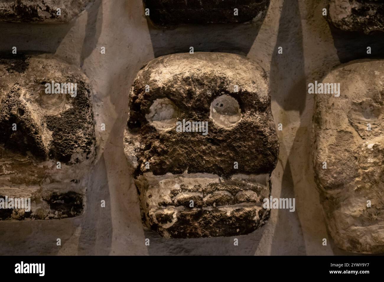 Mexico, Mexique 12 novembre 2024 : détail du porte-crâne Huey Tzompantli ou Grand crâne au musée Templo Mayor de Mexico. Banque D'Images