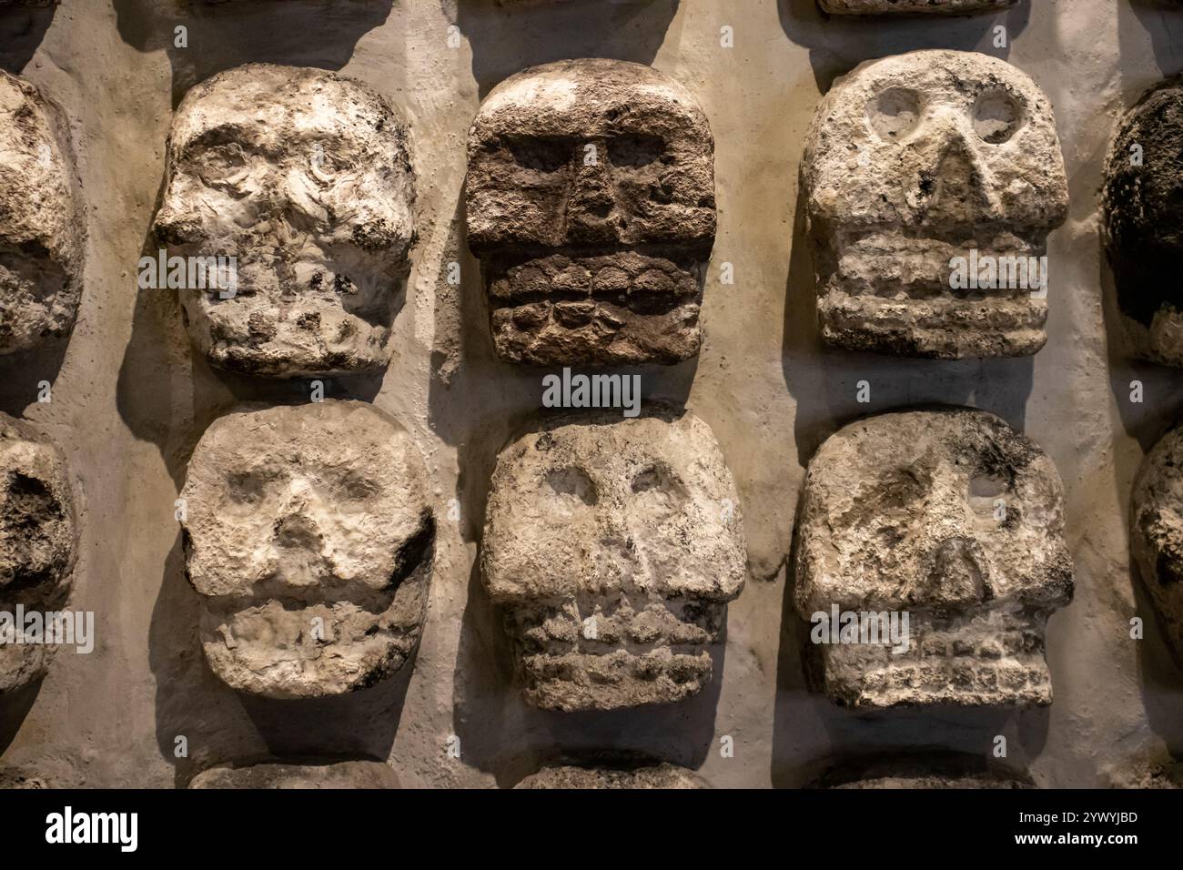 Mexico, Mexique 12 novembre 2024 : détail du porte-crâne Huey Tzompantli ou Grand crâne au musée Templo Mayor de Mexico. Banque D'Images