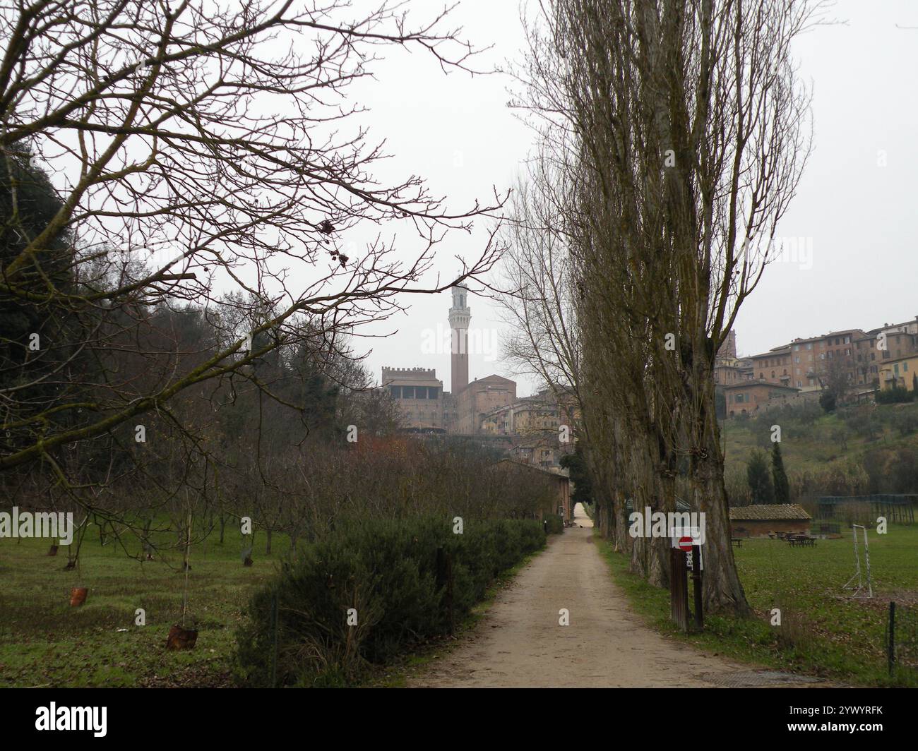 Sienne, Toscane, Italie, Europe Banque D'Images