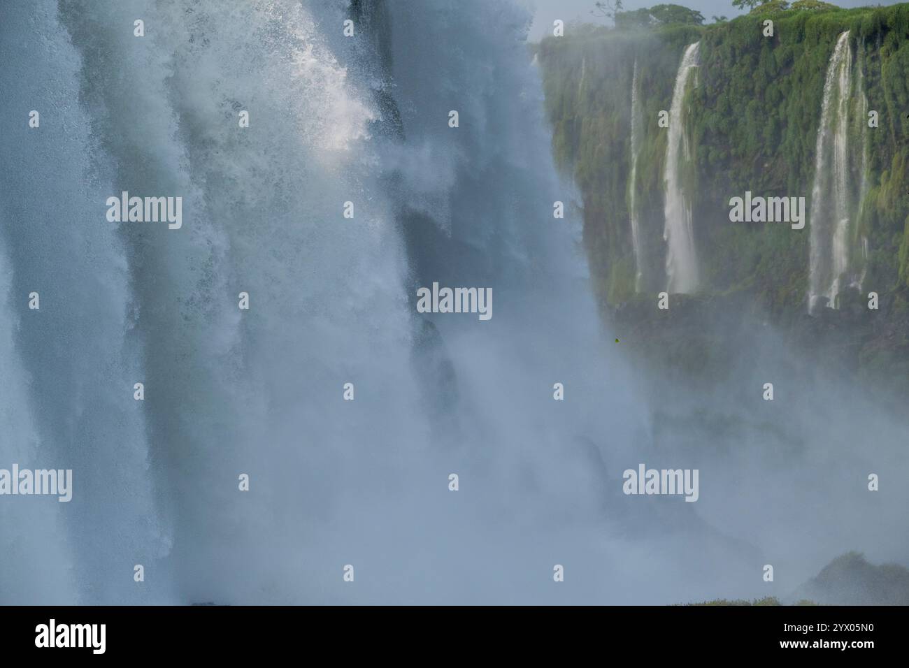 Vue détaillée du côté brésilien de l'une des chutes d'eau de la gorge du diable du côté argentin, Parc National d'Iguassu, Iguassu, Brésil. Banque D'Images