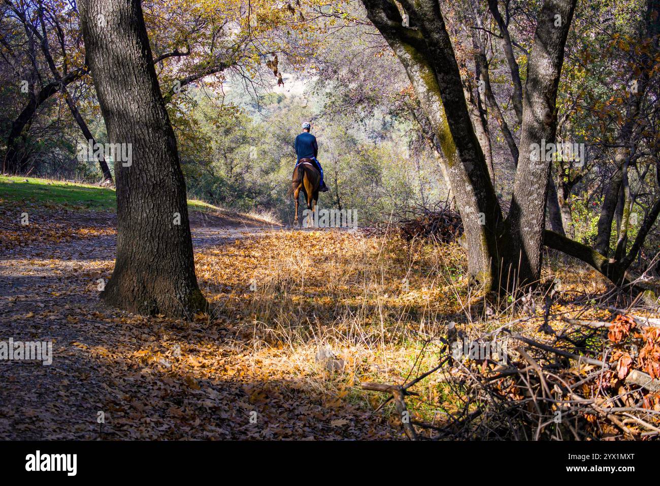 Un homme monte à cheval sur un sentier au parc régional de Hidden Falls dans les contreforts de la Sierra Nevada. Banque D'Images