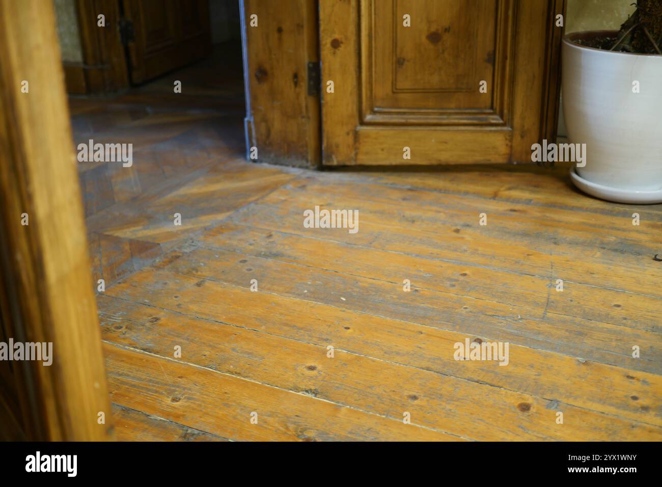 Beau plancher en bois rustique avec une plante décorative en pot pour l'élégance Banque D'Images
