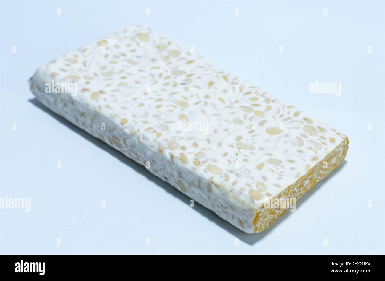 Bloc de soja fermenté Tempeh sur fond bleu Banque D'Images