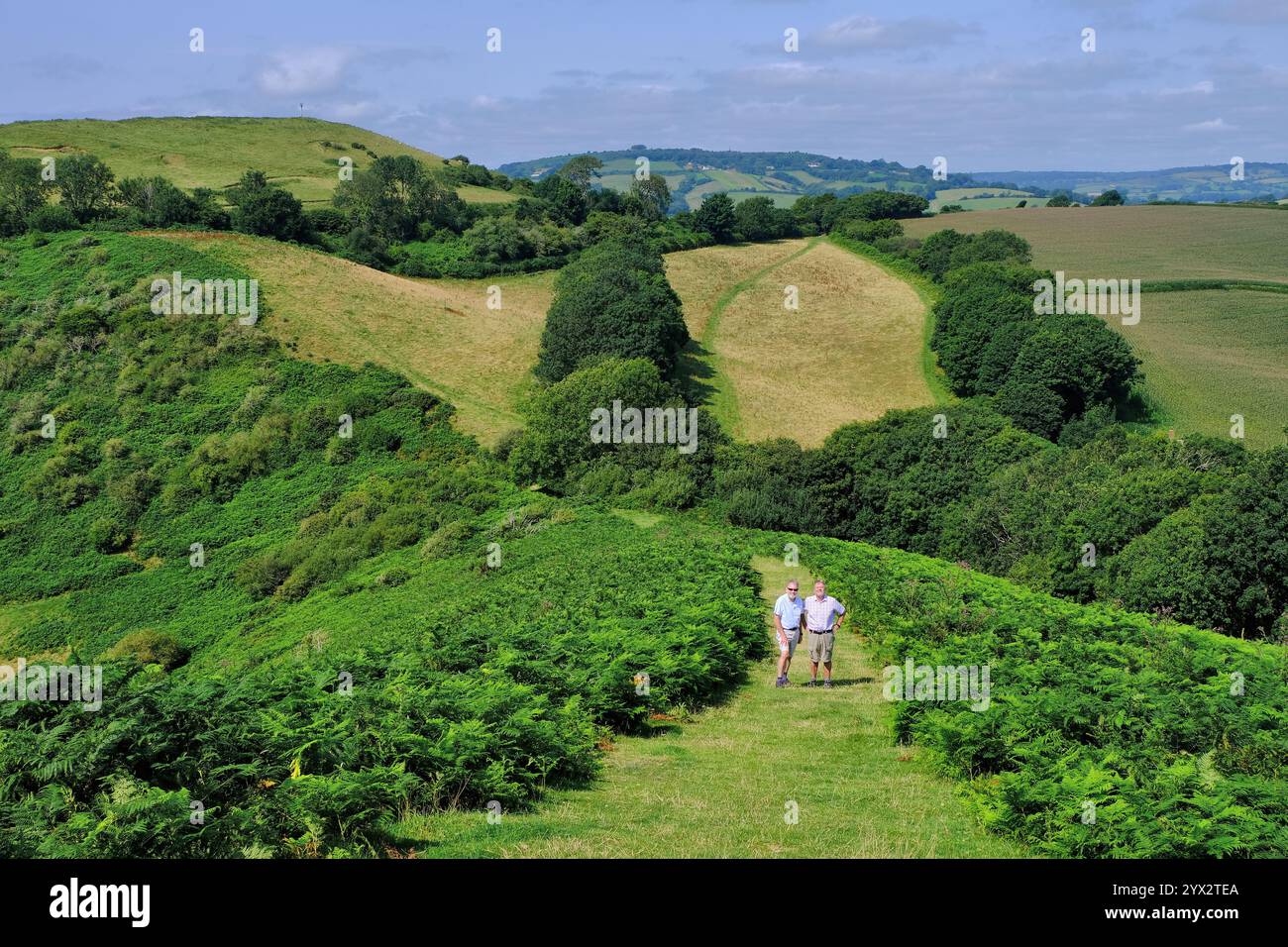 Symondsbury : vue de Colmer's Hill of PATH avec deux marcheurs et des champs à Bridport, Dorset, Angleterre, Royaume-Uni Banque D'Images