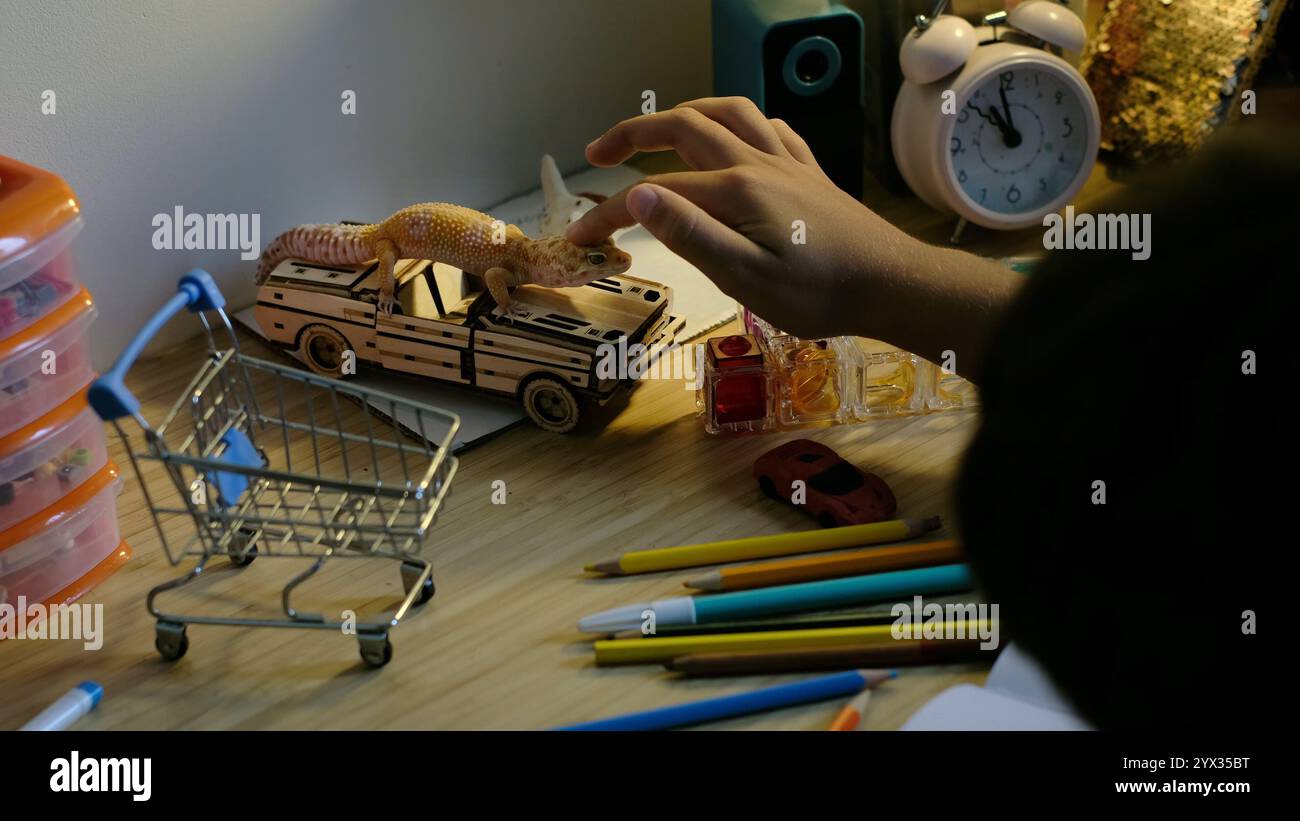 Un enfant se concentre sur le dessin tandis qu'un gecko léopard explore le bureau à proximité, créant un mélange d'art et de nature. L'image capture le calme, la créativité, un Banque D'Images