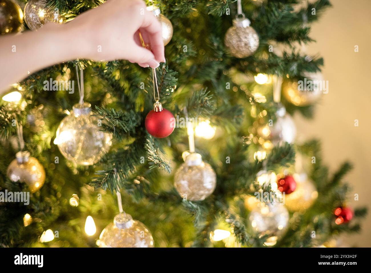 Main de femme accrochant un ornement rouge sur un arbre Banque D'Images