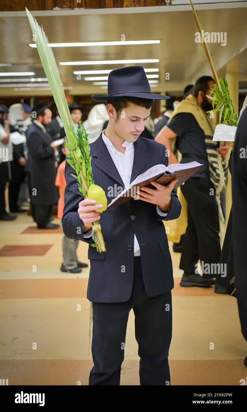 Un juif orthodoxe bénit les quatre espèces de Sukkot dans la synagogue principale de Chabad à Crown Heights, Brooklyn, New York. Banque D'Images