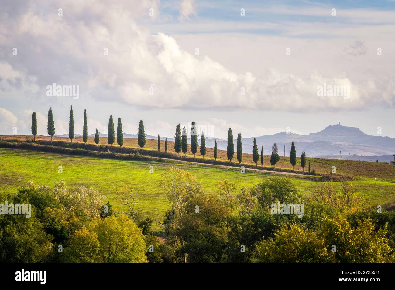 Route avec des cyprès et le village de Radicofani en arrière-plan. Val d'Orcia, province de Sienne, région Toscane, Italie Banque D'Images