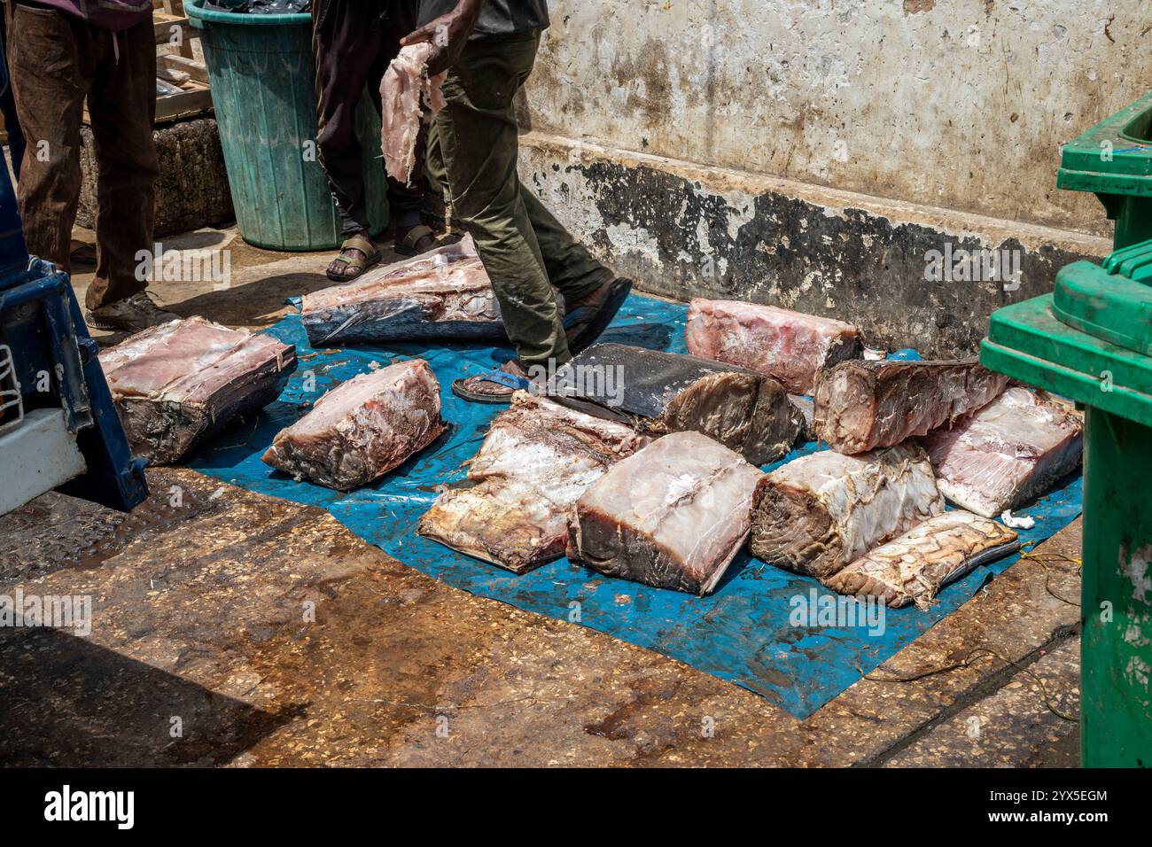 Gros blocs congelés de viande de poisson posés sur la feuille de plastique sur le sol en béton au marché Darajani, Bazaar dans Stone Town, Zanzibar, Tanzanie. Banque D'Images