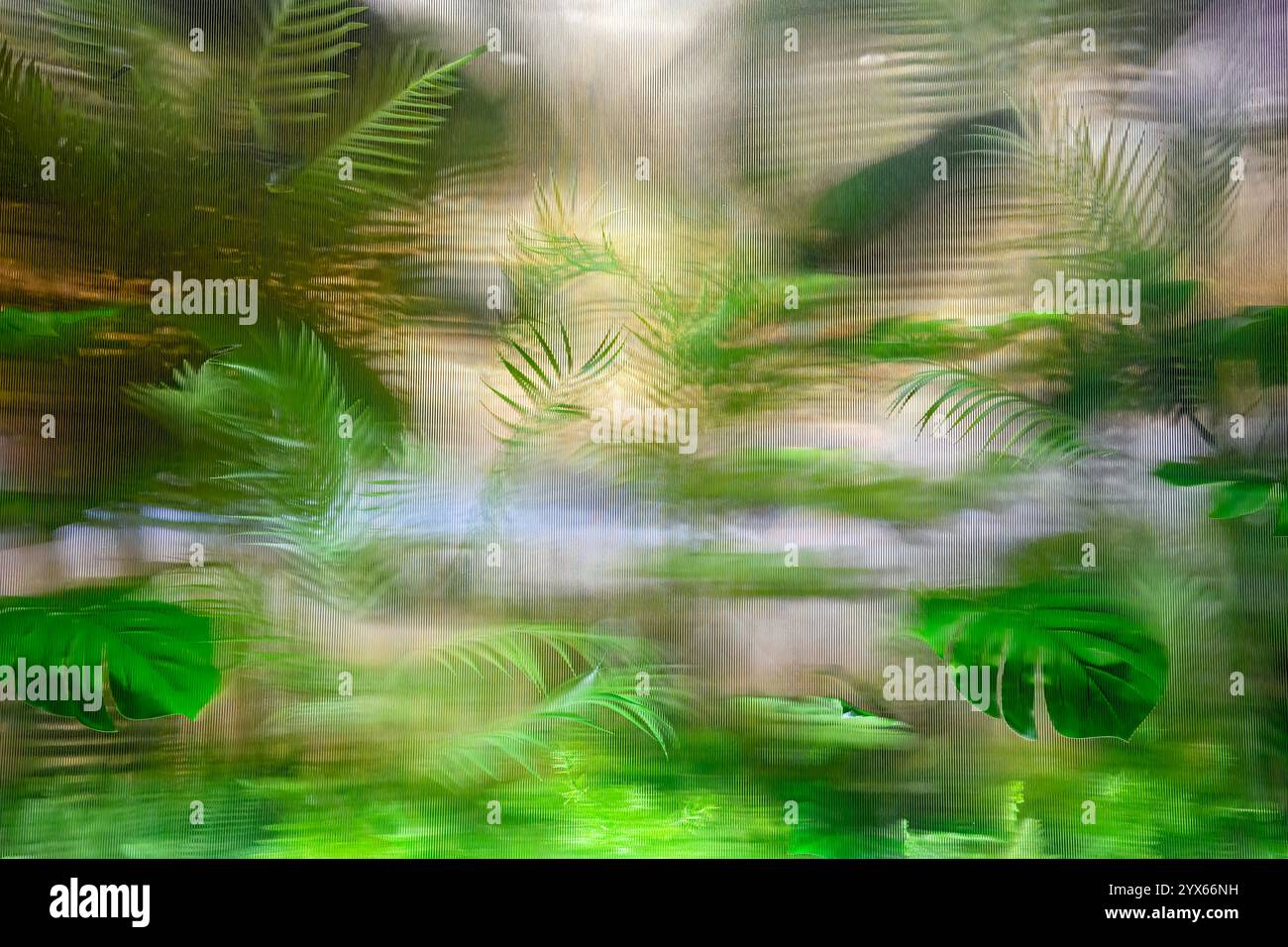 Fond de jardin botanique abstrait, plantes à travers Perspex, concept d'effet visuel de distorsion linéaire, cabine d'espace de bureau de la nature Banque D'Images