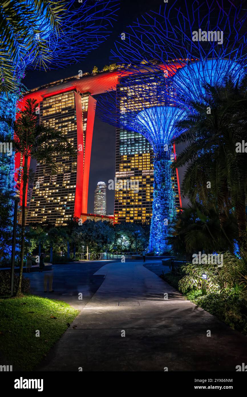 Singapour - 2 juillet 2024 : ville et supertree lumières la nuit, Gardens by the Bay, destination touristique populaire pour les vacances de voyage Banque D'Images