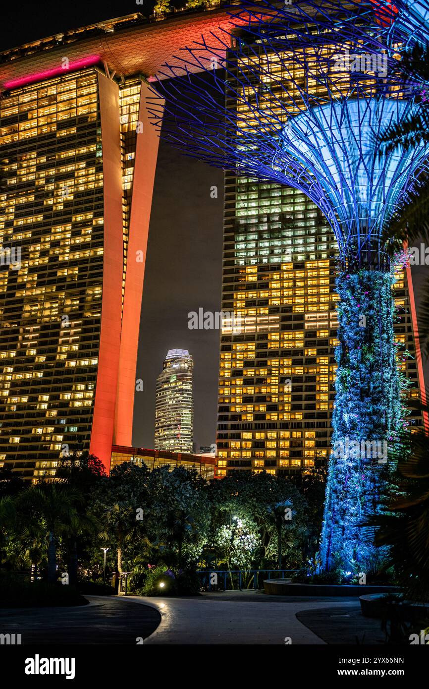 Singapour - 2 juillet 2024 : ville et supertree lumières la nuit, Gardens by the Bay, destination touristique populaire pour les vacances de voyage Banque D'Images