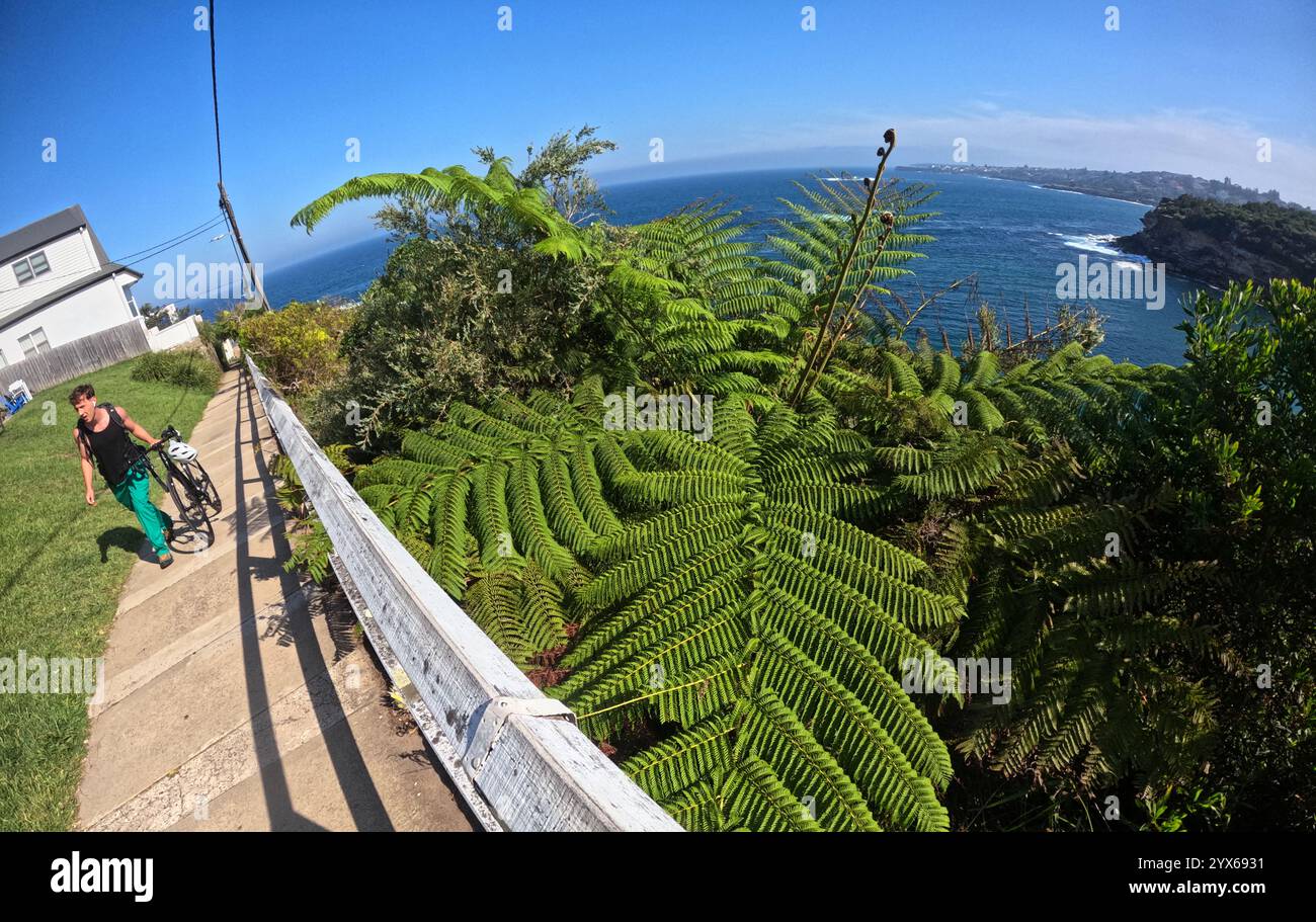 Marcheur avec vélo sur la piste côtière, Gordons Bay, Sydney, NSW, Australie. Pas DE MR ou PR Banque D'Images